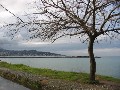 Büyült