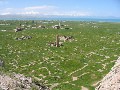 Büyült