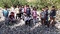 Büyült